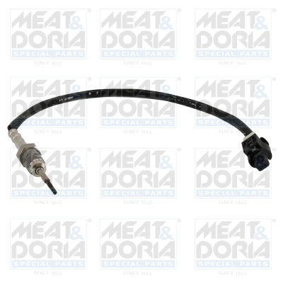 Sensor, exhaust gas temperature